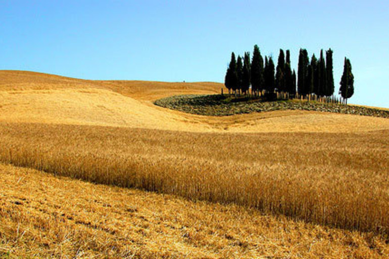 Agriturismo Fontelunga Tuscany1.jpg
