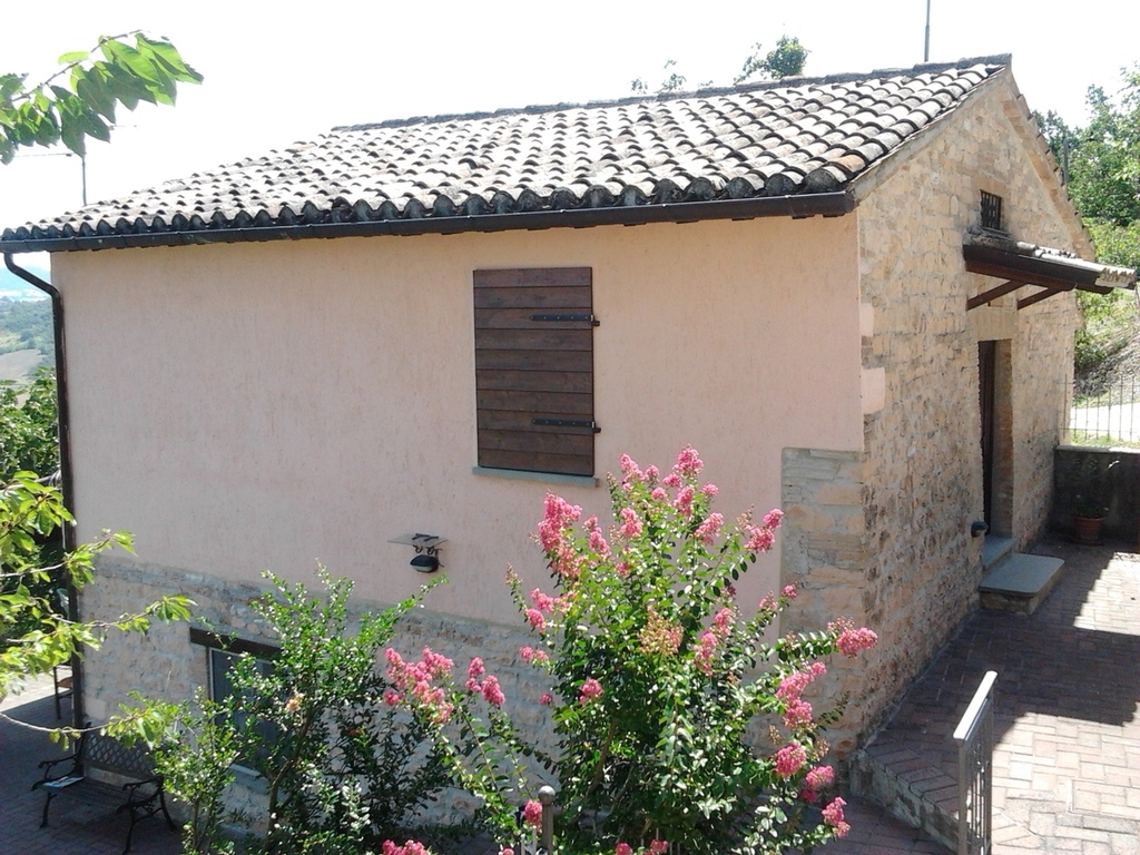Giugno in fiore rustico villa campagna Marche Cagli (PU) INCANTO SULLA VALLE 2012-07-29 11.27.34.jpg