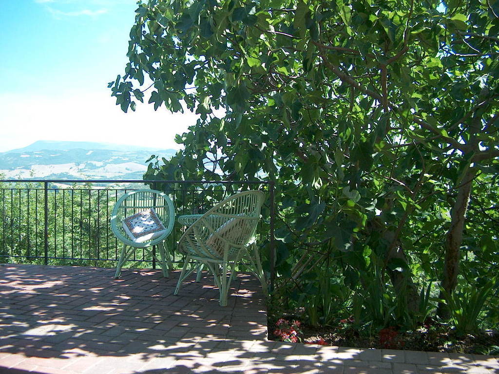 Giugno in fiore rustico villa campagna Marche Cagli (PU) INCANTO SULLA VALLE Fine maggio 06 024.jpg