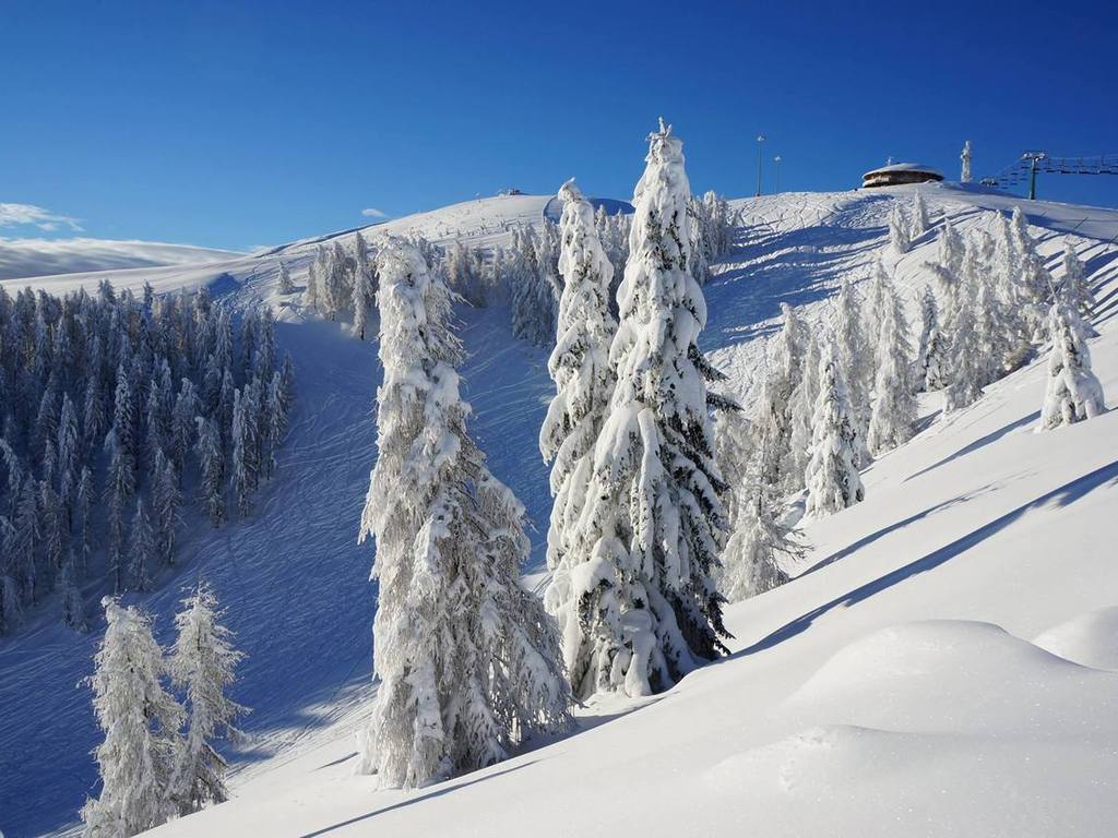Capodanno in Trentino 27.12 al 02.01 con cenone sulle piste da sci aperte anche in notturna !! 1780193 695719783814312 672938242 o.jpg
